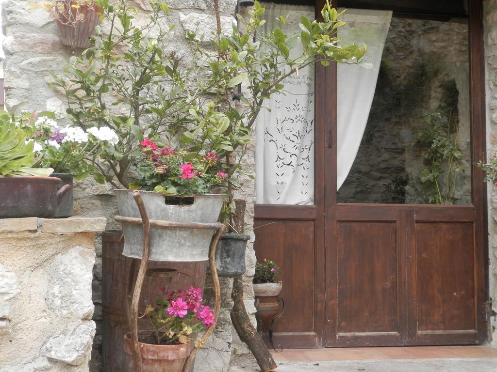 Residenza Di Paese Castello Del Poggio Hotell Ferentillo Exteriör bild